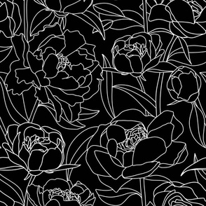 Peony line drawing on black