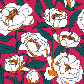 White peonies on hot pink