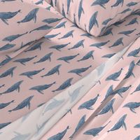 whale ocean animal whales nautical fabric pink