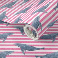 whale ocean animal whales nautical fabric stripe pink