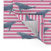 whale ocean animal whales nautical fabric stripe pink