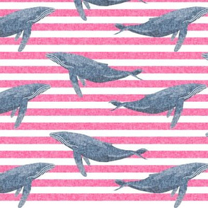 whale ocean animal whales nautical fabric stripe pink