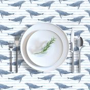 whale ocean animal whales nautical fabric stripe blue