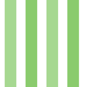 Sunwashed Stripe in  Apple Green