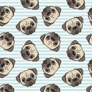 Pugs on baby blue stripes - pug cute dog face