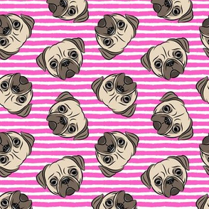 Pugs on hot pink stripes - pug cute dog face