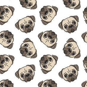 Pugs - pug cute dog face