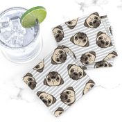 Pugs on grey stripes - pug cute dog face