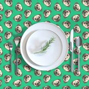 Pugs on green - pug cute dog face