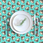 Pugs on teal - pug cute dog face