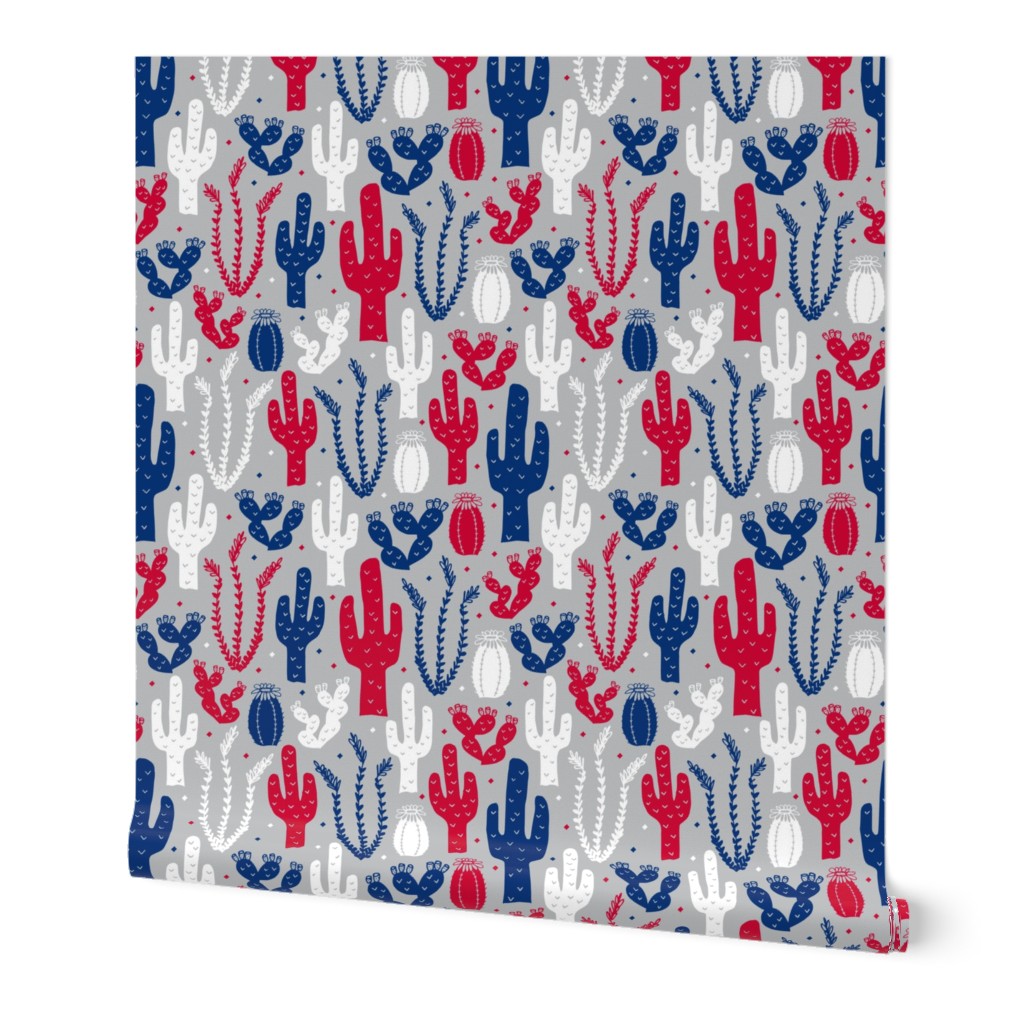 Arizona Backyard (Red, White and Blue on Silver Extra Small)