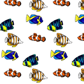 Fish in the Sea- White Background