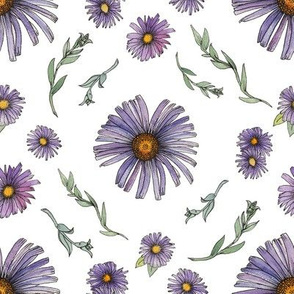 Sweet & Wild Soft Purple and Gold Aster Flowers