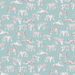 White Bengal Tiger | Teal Background