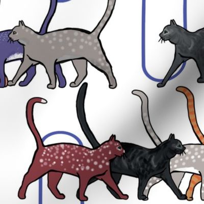 8 cats walking back + forth by Su_G_©SuSchaefer