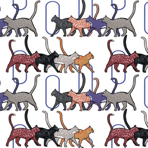 8 cats walking back + forth by Su_G_©SuSchaefer