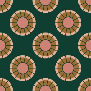 Geometric Circles in Evergreen