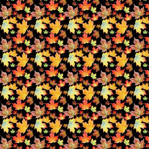 Autumn Maple Leaves 4 inch repeat on black