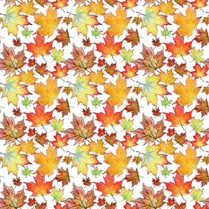 Autumn Maple Leaves 6 inch repeat