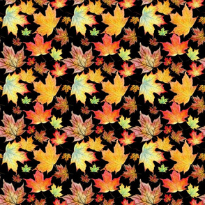 Autumn Maple Leaves 6 inch repeat on black