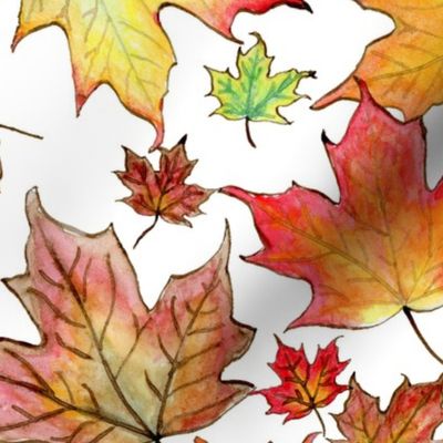 Autumn Maple Leaves 12 inch repeat