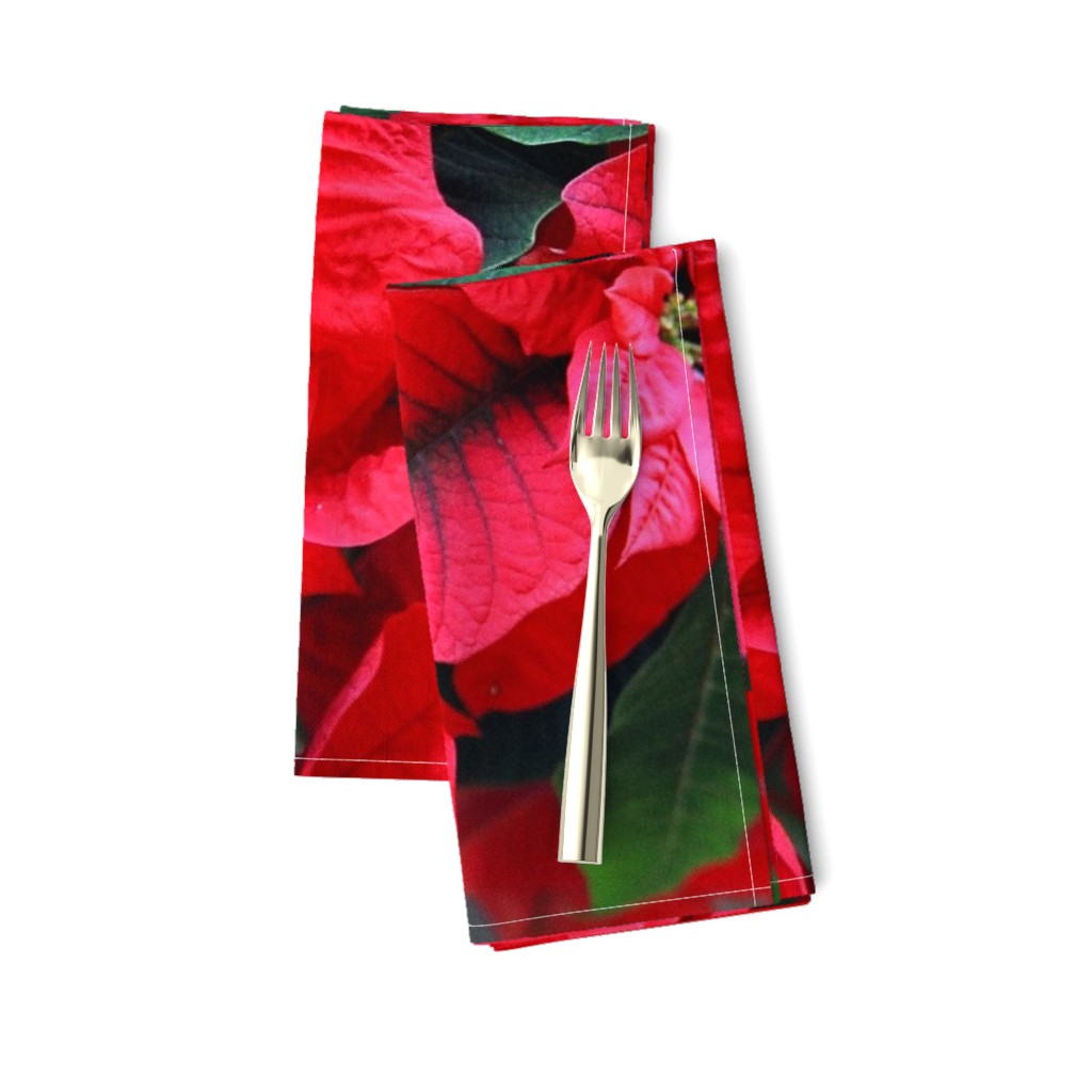 2RedPoinsettiasFQHolidayTeaTowel