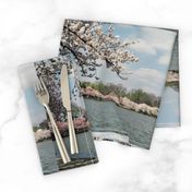 CherryBlossomTimeInDC-Placemats