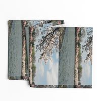 CherryBlossomTimeInDC-Placemats