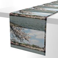 CherryBlossomTimeInDC-Placemats