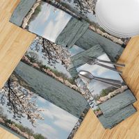 CherryBlossomTimeInDC-Placemats