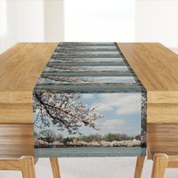 CherryBlossomTimeInDC-Placemats