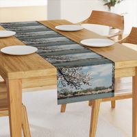 CherryBlossomTimeInDC-Placemats