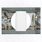 CherryBlossomTimeInDC-Placemats