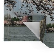 CherryBlossomTimeInDC-Placemats