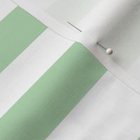Mint large horizontal ticking stripe _ coordinate