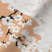 cherryblossom_apricot