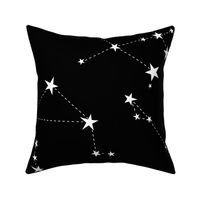 large - stars in the zodiac white on black
