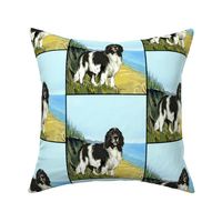 Landseer Newfoundland Beach Scene Fabric