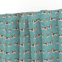 basset hound standing dog breed fabric teal