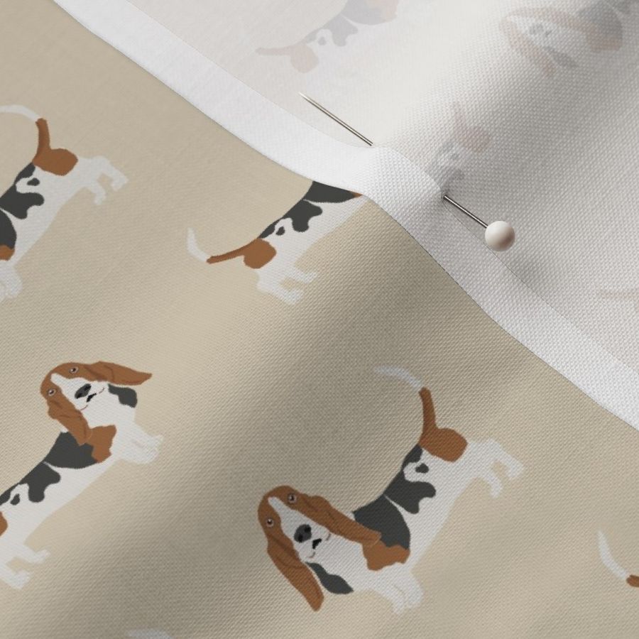 basset hound standing dog breed fabric tan