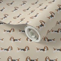 basset hound standing dog breed fabric tan