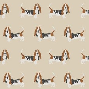 basset hound standing dog breed fabric tan