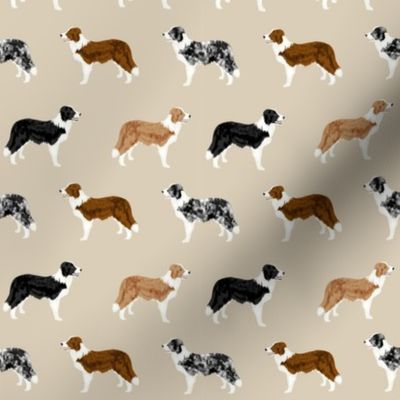border collie mixed coats dog breed fabric tan