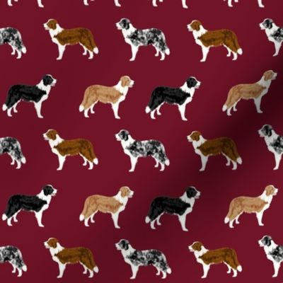 border collie mixed coats dog breed fabric burgundy