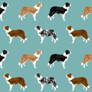 border collie mixed coats dog breed fabric blue green