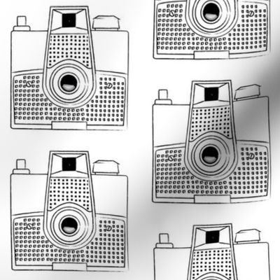 black and white brownie camera