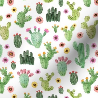 watercolor cute cacti 