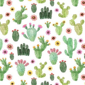 watercolor cute cacti 