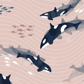 Orca in Motion Blush