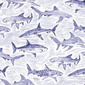 Pencil Sketched Sharks Blue